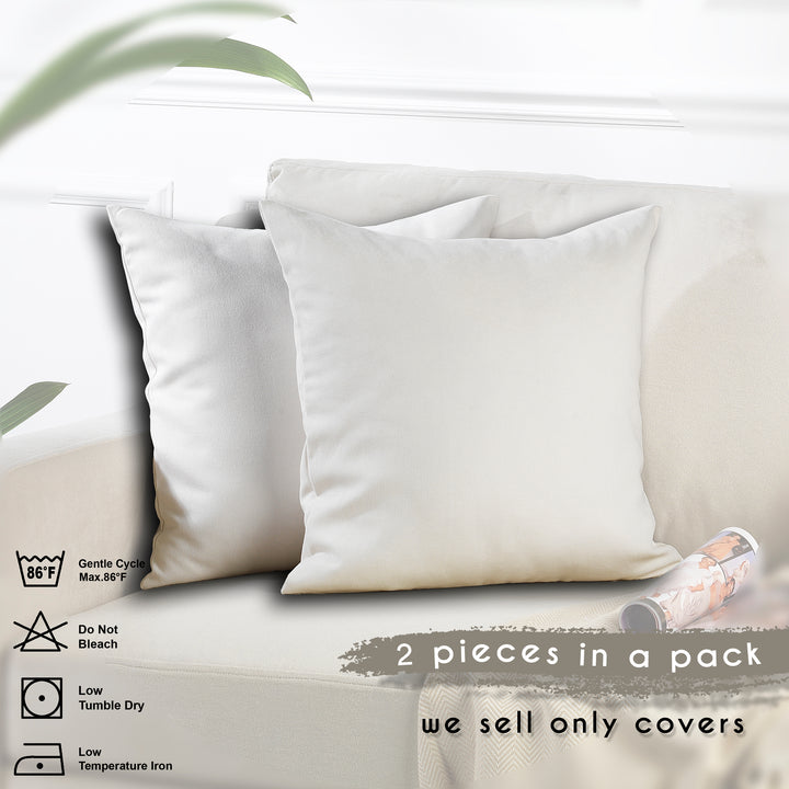 Decorative Cushion Covers Set of 2 - White Curtain Colors Matching
